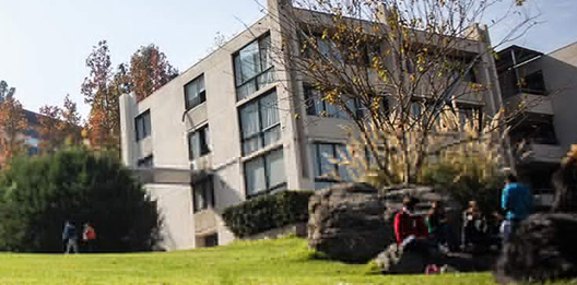 Universidad Mayor