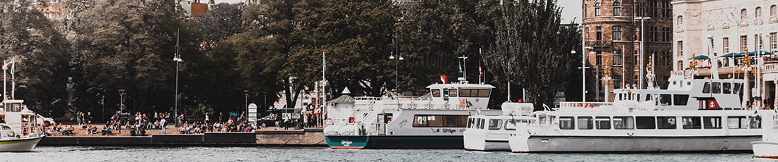 Photo by Tiare Balbi on Unsplash