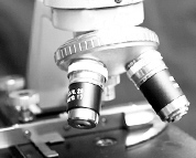 Foto referente ao curso de Ciências Biológicas