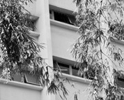 Foto referente ao curso de Engenharia ambiental