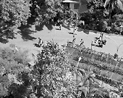 Foto referente ao curso de Geografia e meio ambiente