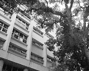 Foto referente ao curso de Letras