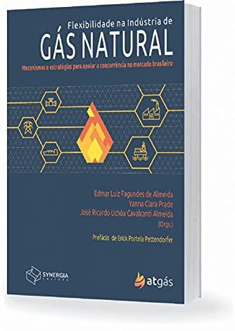 Capa do livro "Flexibilidade na Indústria de Gás Natural"