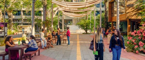 Graduação | Notícia em Destaque