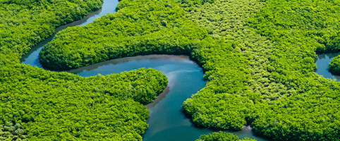 AMAZONIZAR PUC-RIO