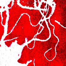 exposições_realizadas