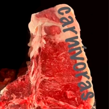 exposições_realizadas