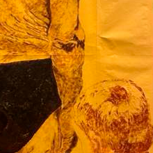 exposições_realizadas